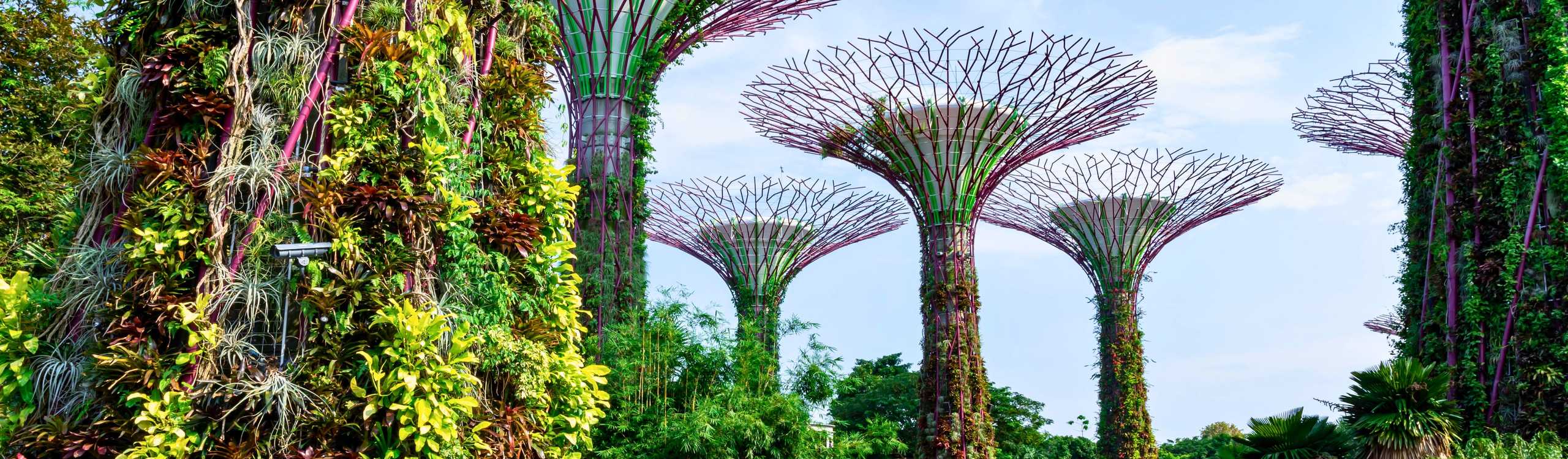 Discover the best attractions in Singapore with an official City Pass – Plan as you go and enjoy exclusive deals to make your visit effortless in 2026 Explore Singapore with a City Pass – Save on top attractions, enjoy all-in-one access, and experience digital convenience in 2026